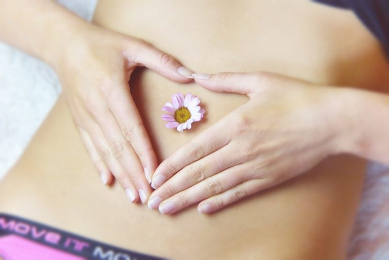 belly Ginecologia / Obstetrícia